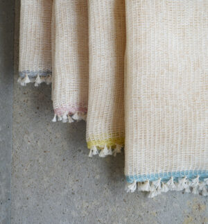 WEB限定　WASHI WASH ワシウォッシュ画像