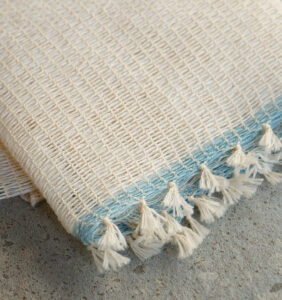 WEB限定　WASHI WASH ワシウォッシュ画像