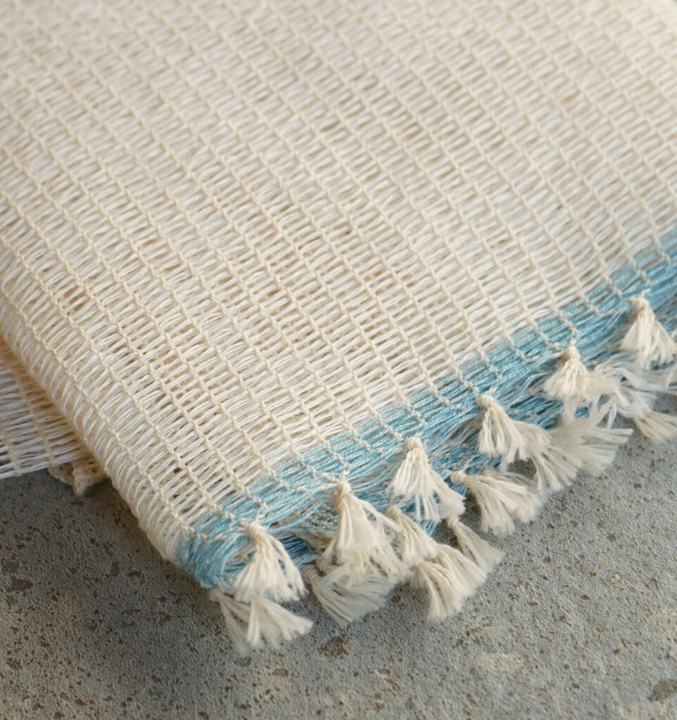 WEB限定　WASHI WASH ワシウォッシュ画像