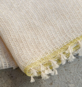 WEB限定　WASHI WASH ワシウォッシュ画像